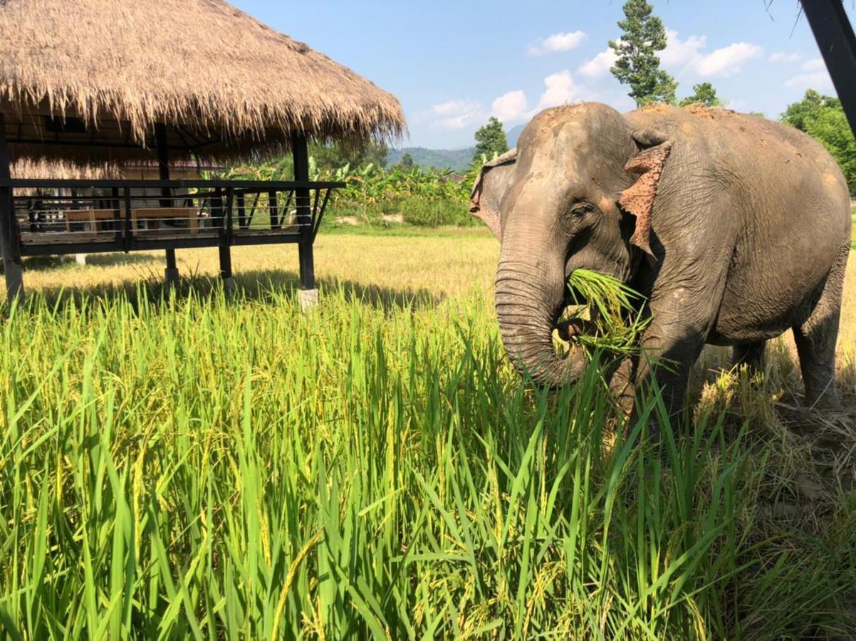 Paiberngboc Resort Kenue Kang Zewnętrze zdjęcie